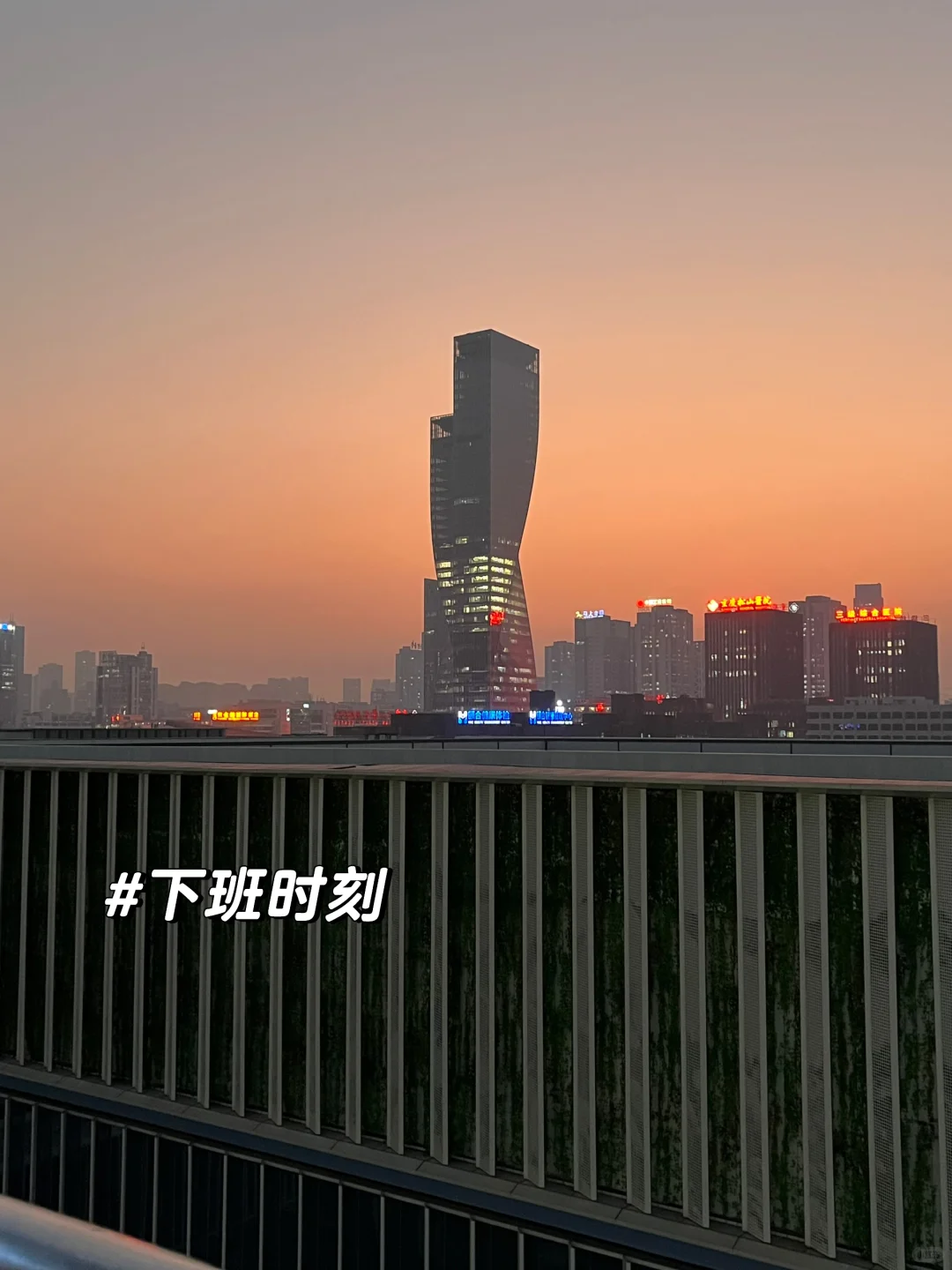 2025年终总结｜宝宝，你是一个药企研发女