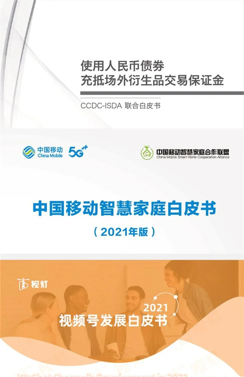 2025白皮书行业研究报告产业市场分析