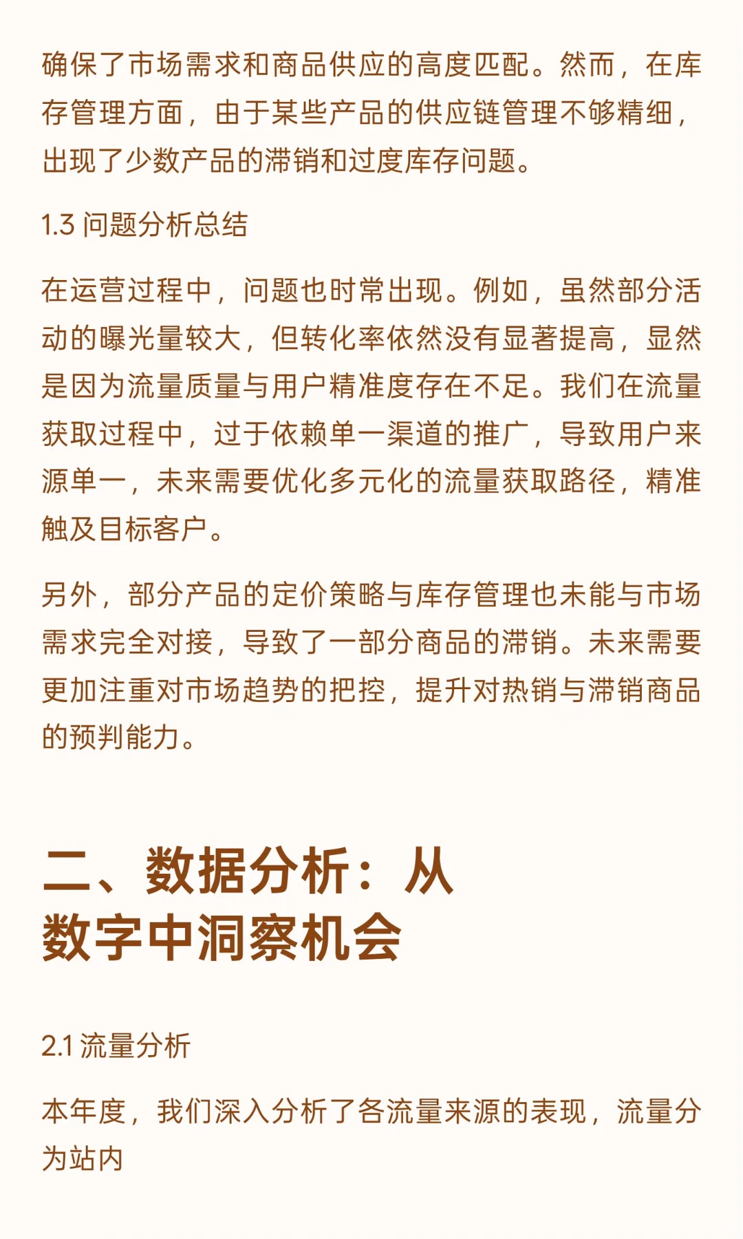 2025电商运营年终总结报告