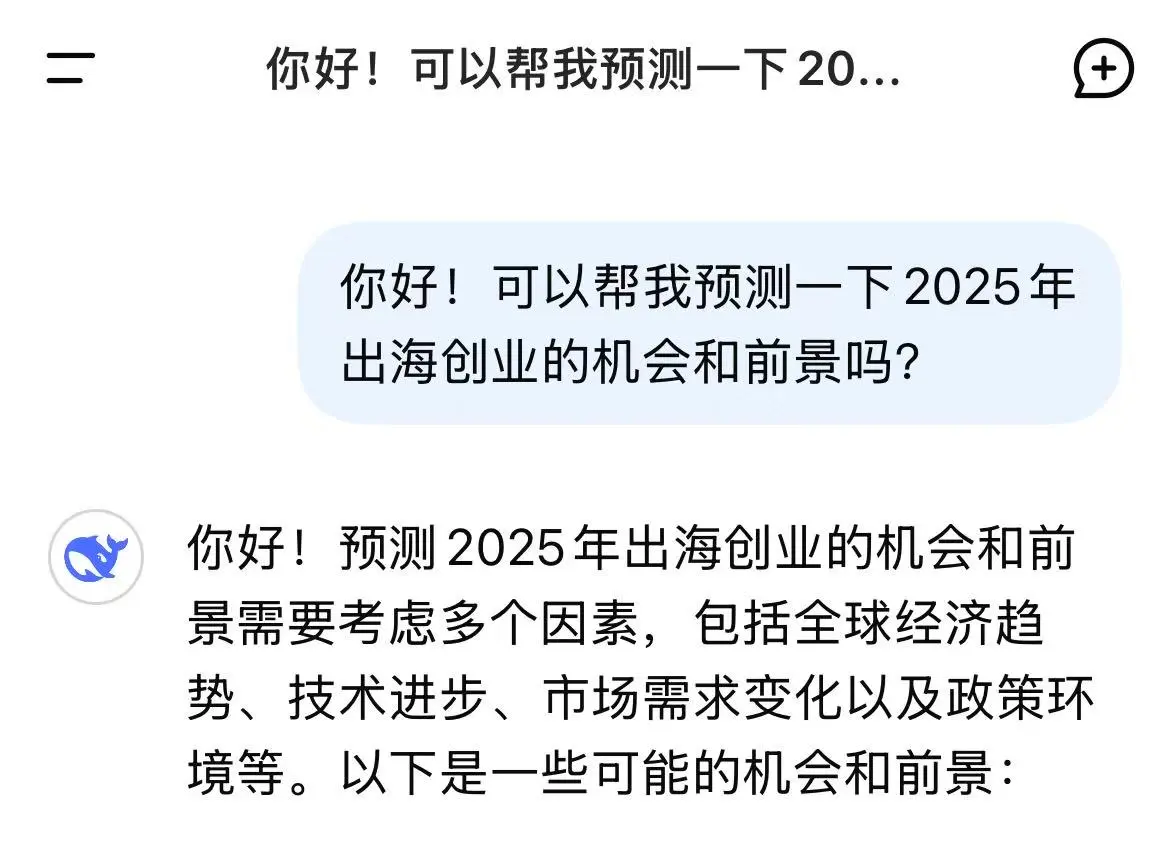 Deepseek对于2025年的出海分析都有哪些？