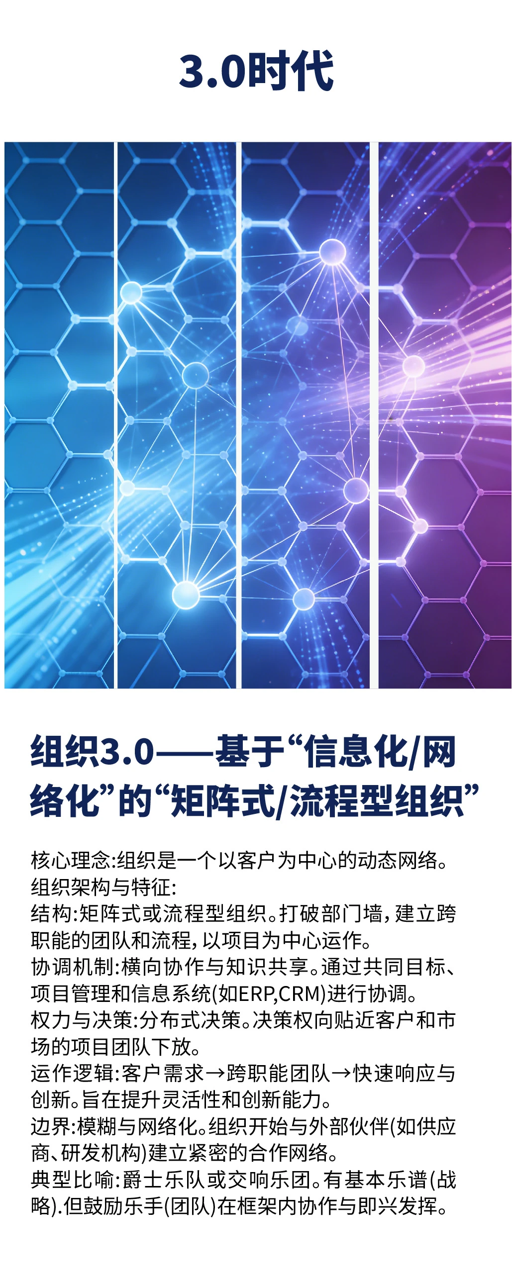 组织1.0-4.0形态进化史