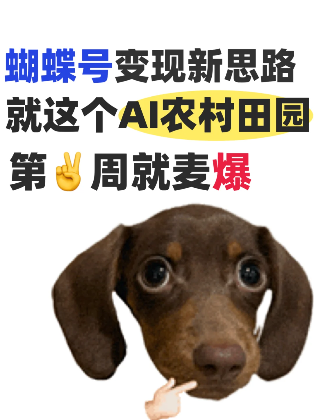 别划走！AI带你玩赚蝴蝶号农村流量洼地！