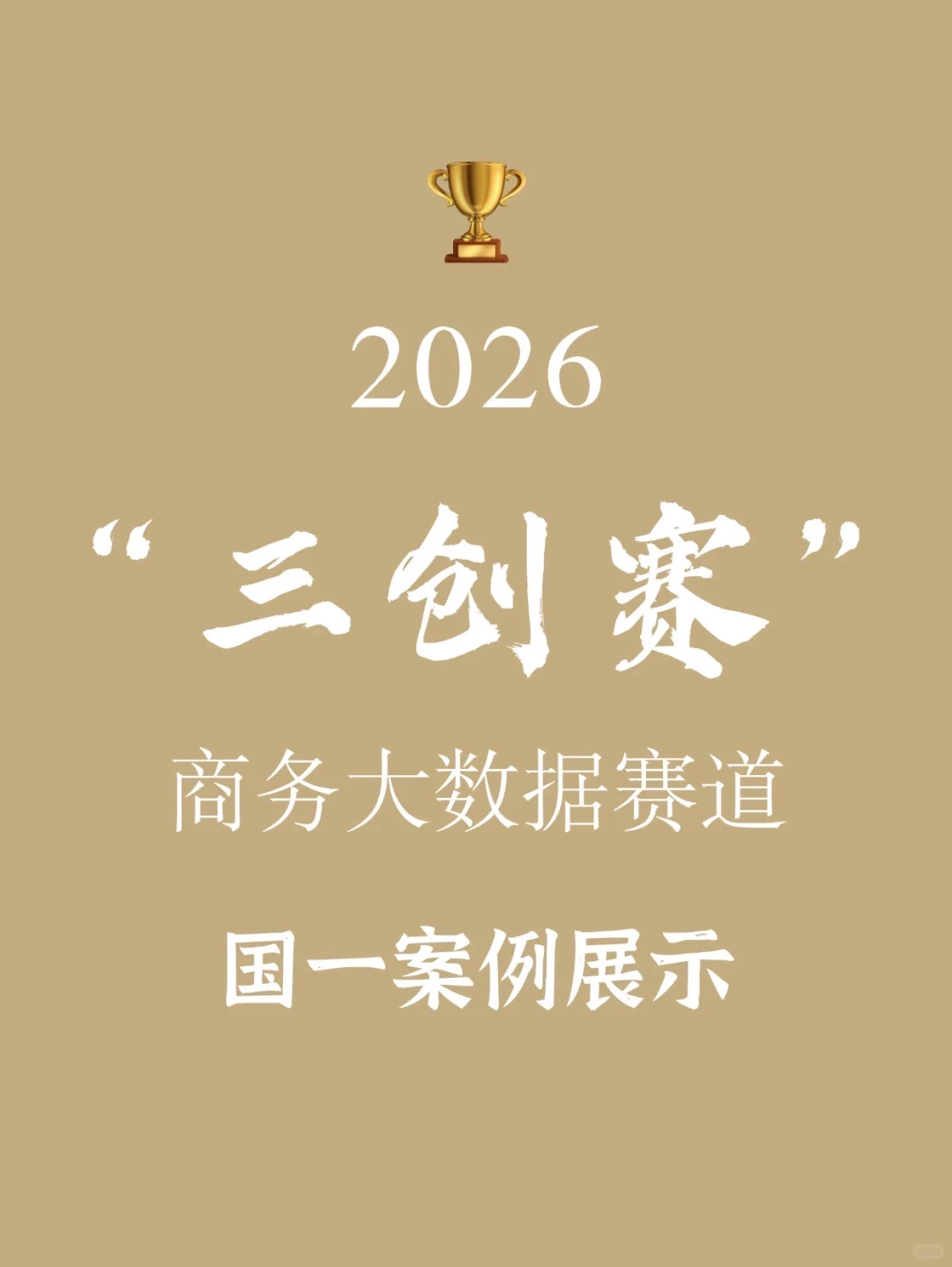 三创赛商务大数据国一案例?计划书拆解?