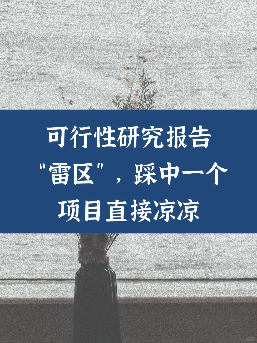 可行性研究报告的“雷区”，踩中一个，项目直接