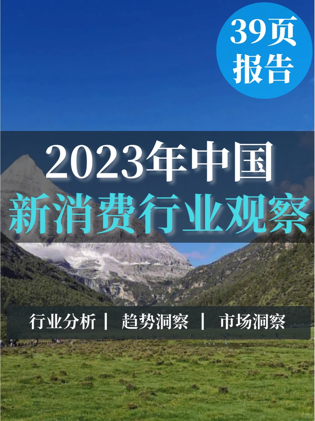 39页报告▏2023年中国新消费行业观察