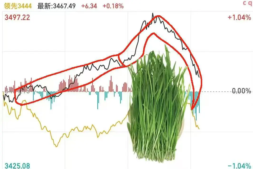 “米粉，奶茶粉”画像如何？