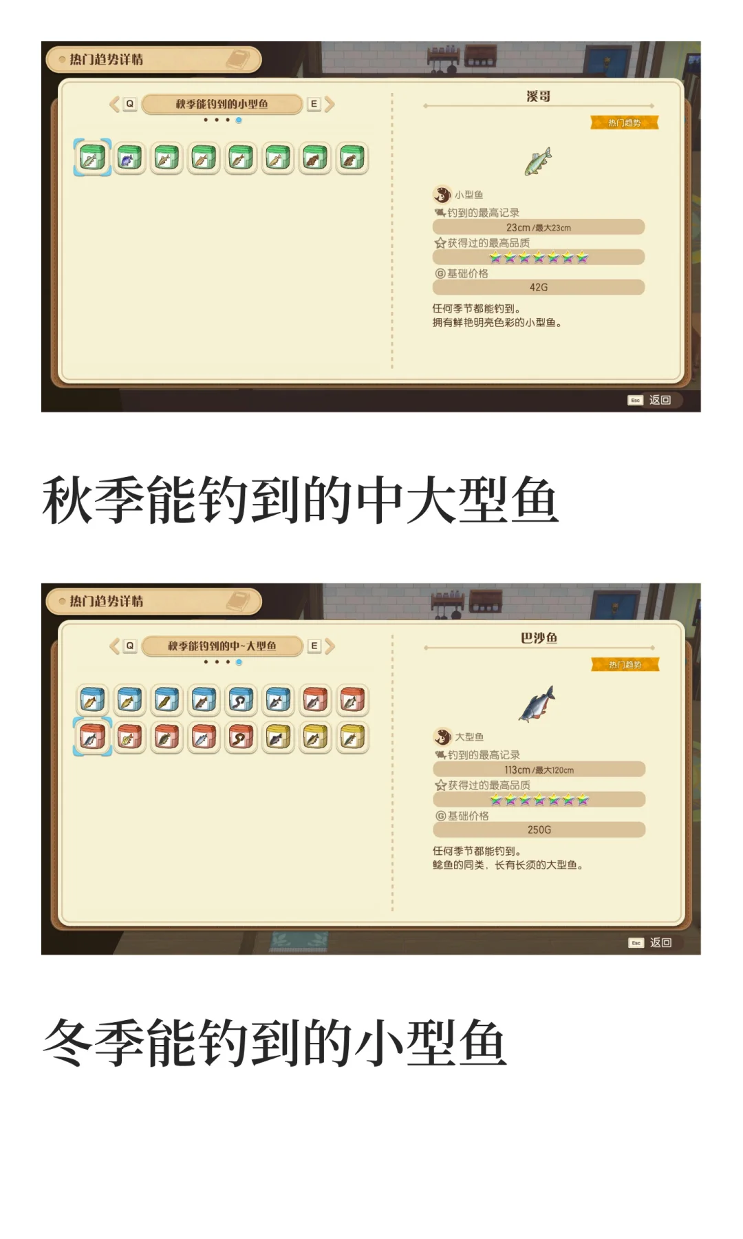 风之集市全部热门趋势物品图鉴汇总