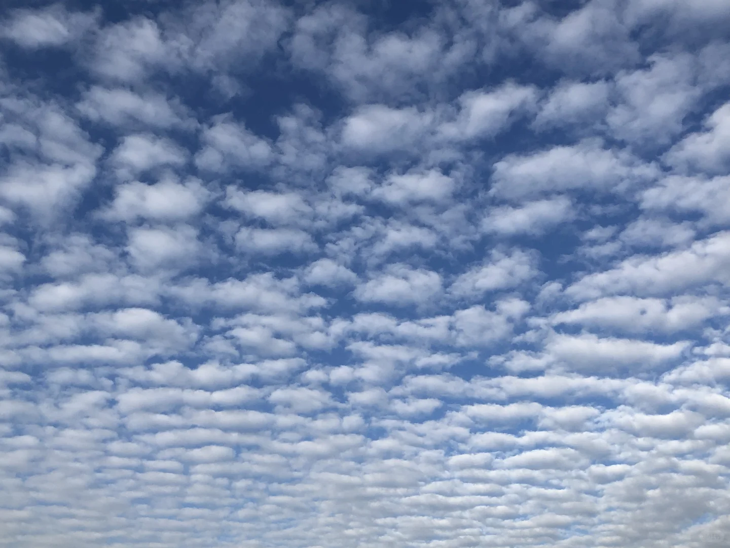 教你赚钱的人=要赚你钱的人