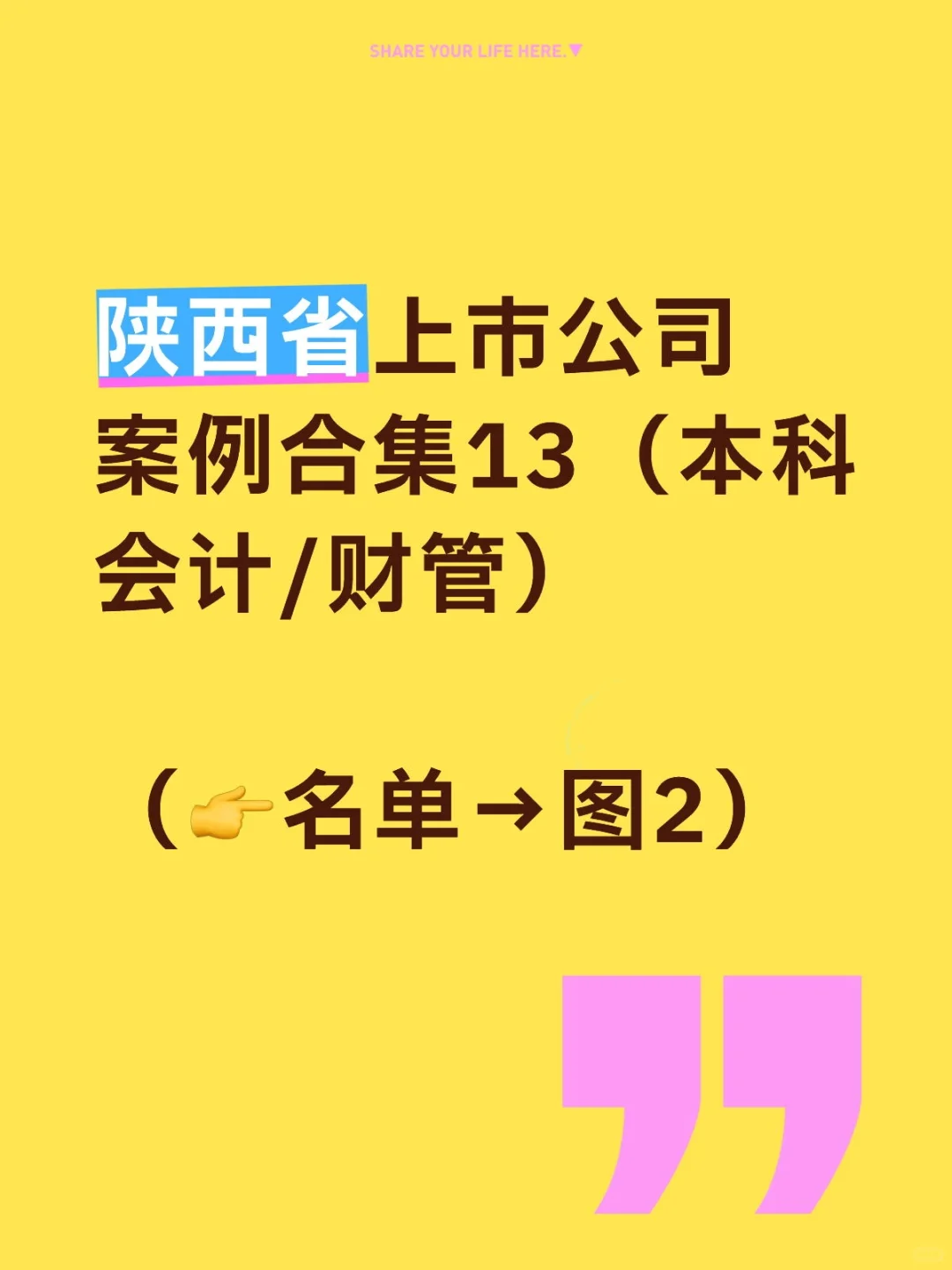 陕西省上市公司案例合集13（本科会计/财管
