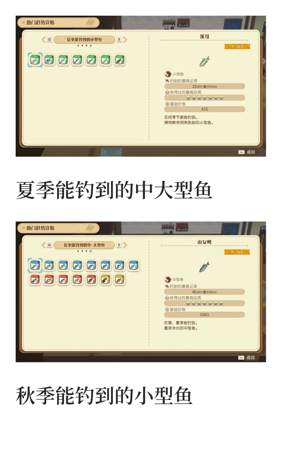 风之集市全部热门趋势物品图鉴汇总