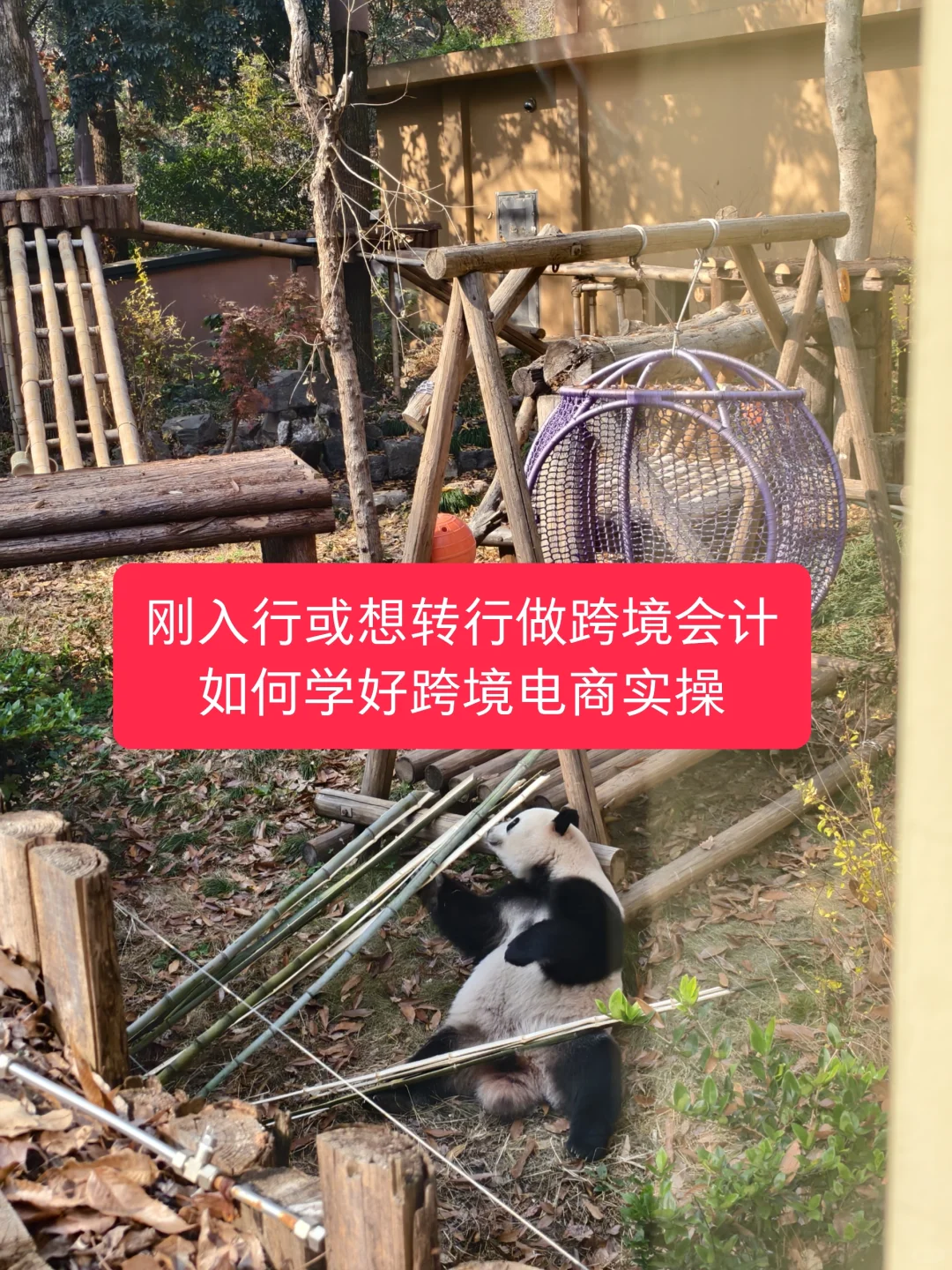 跨境电商会计好学吗？怎么学？