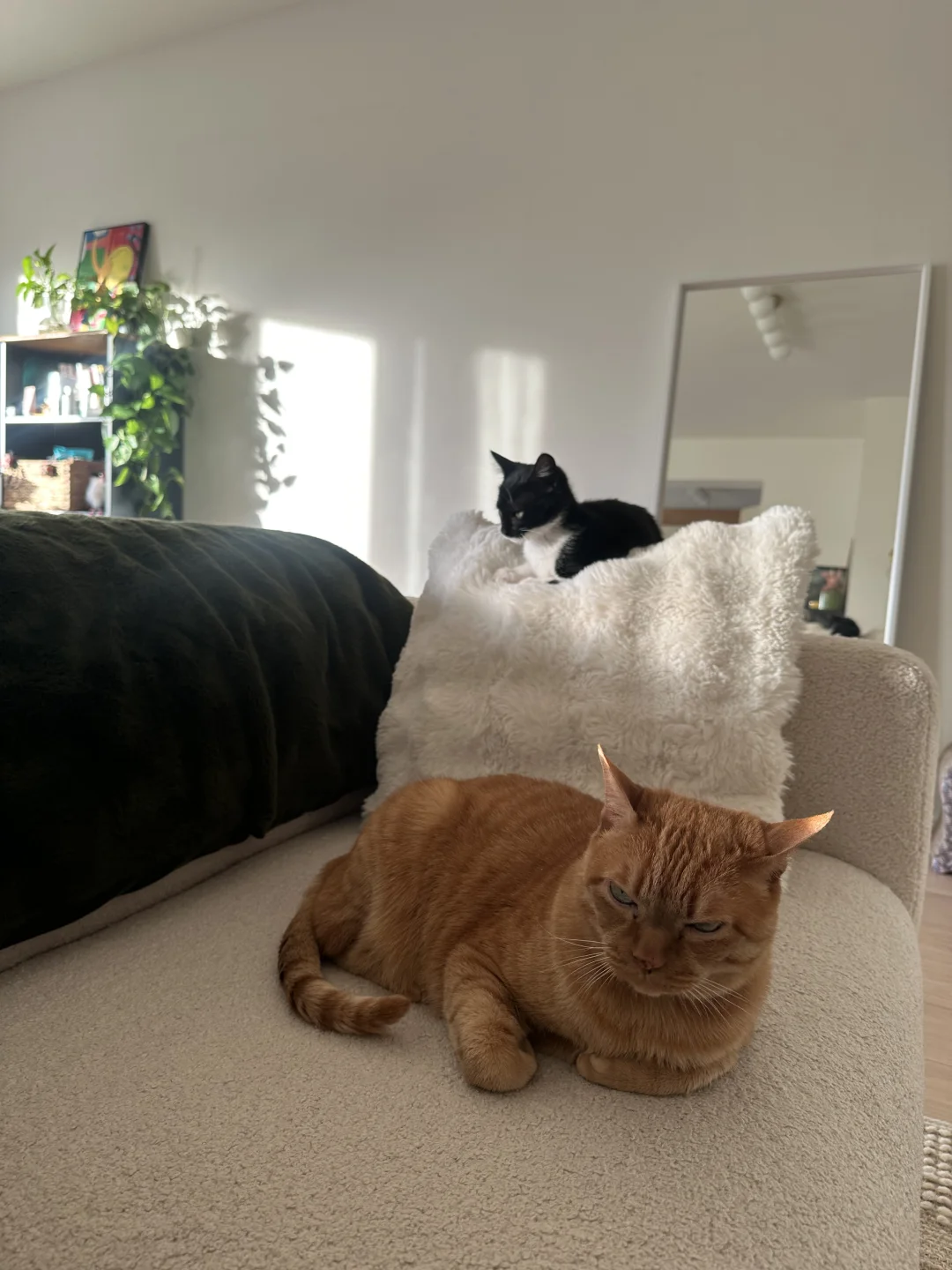 2025暖冬里的年末总结