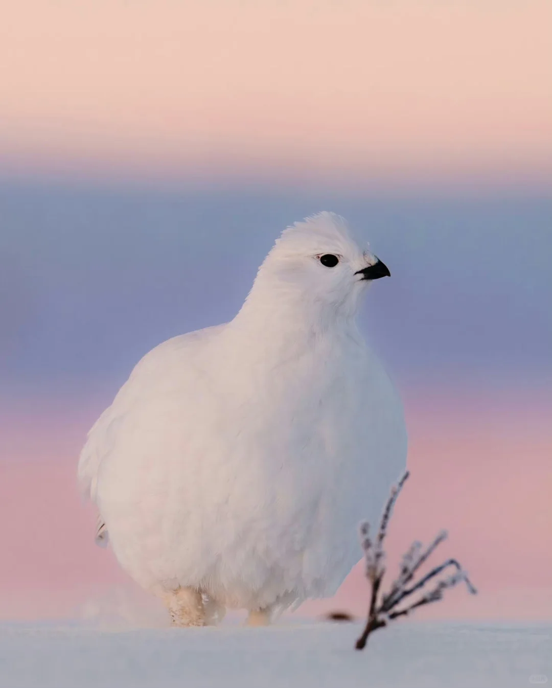和贵人或领导相处，必懂的人情世故①
