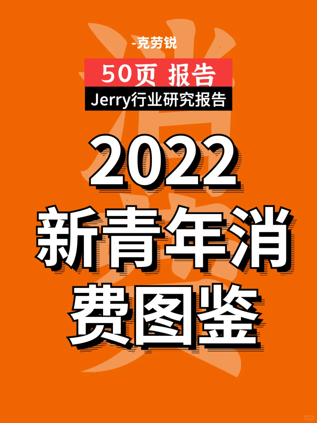 2022新青年消费图鉴 行业研究报告