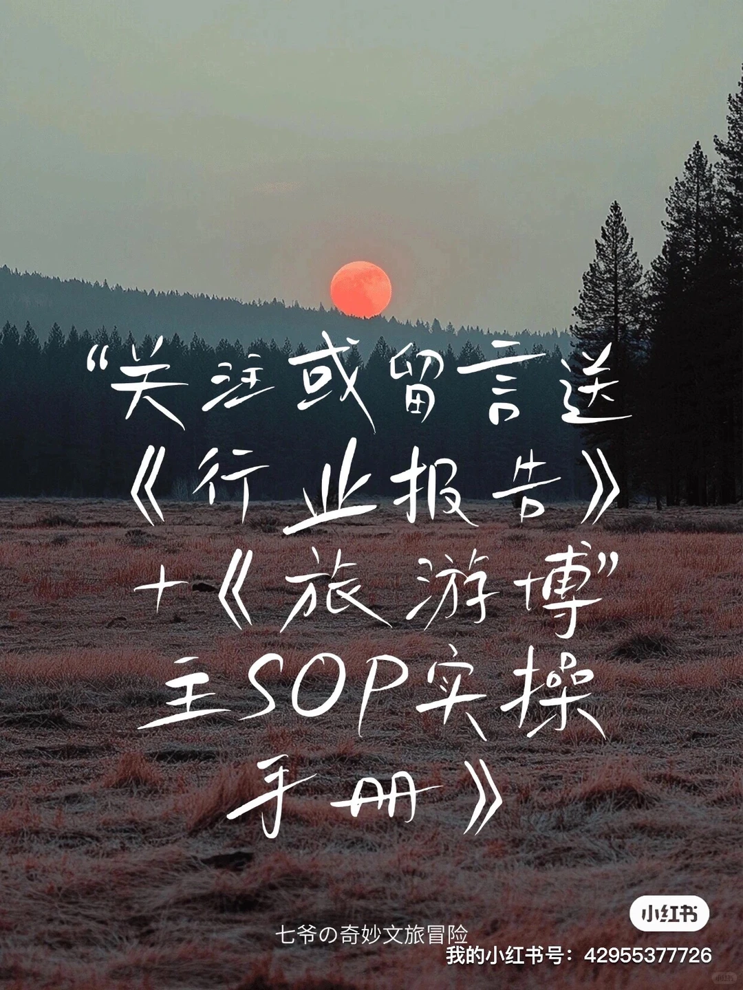 2024旅游业金矿：4大人群画像，掘金千亿市场