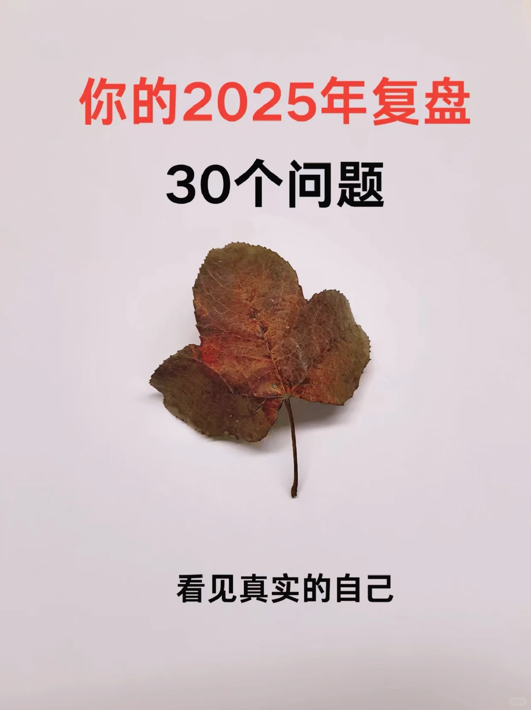 用30个问题，复盘你的2025年