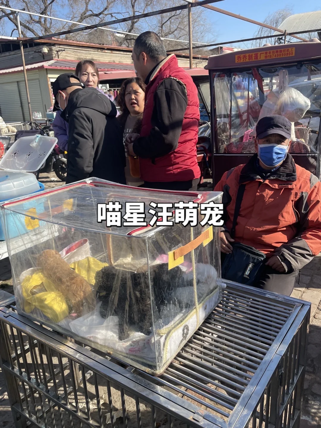 南京最大的宠物市场、南京猫狗市场