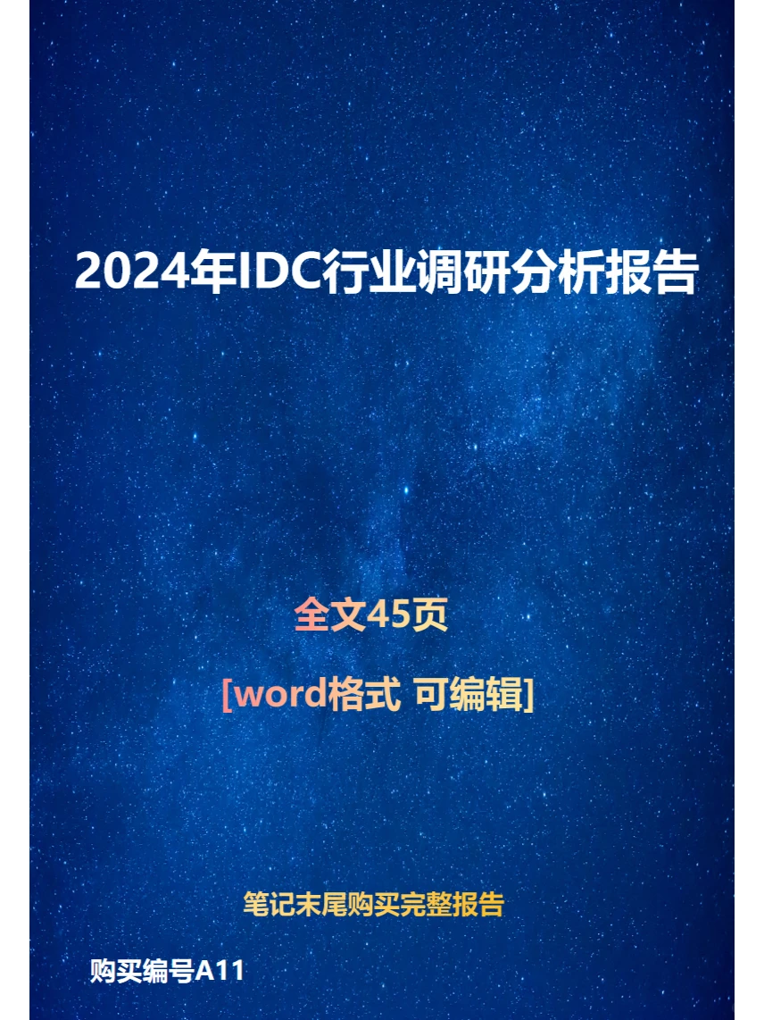 2024年IDC行业调研分析报告
