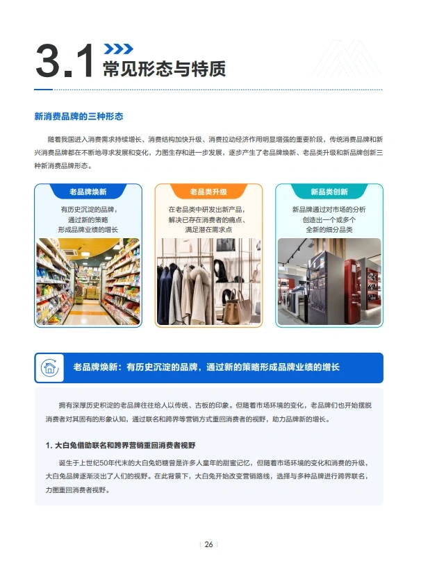 报告6丨2023新消费品牌的中国范式60页