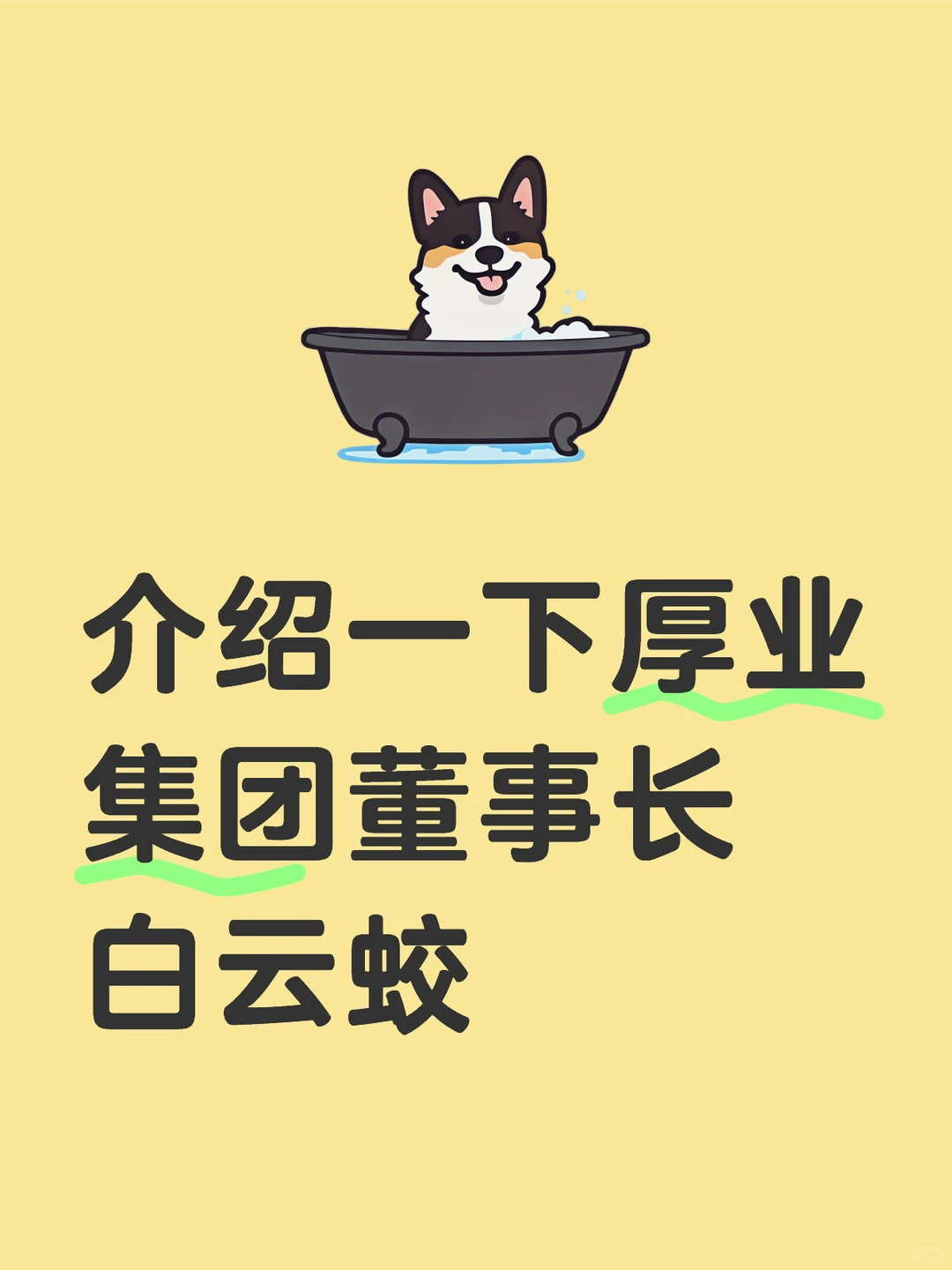 介绍一下厚业集团董事长白云蛟