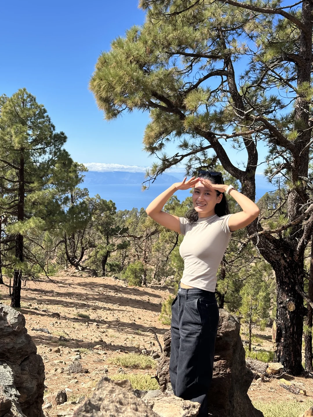 2025暖冬里的年末总结