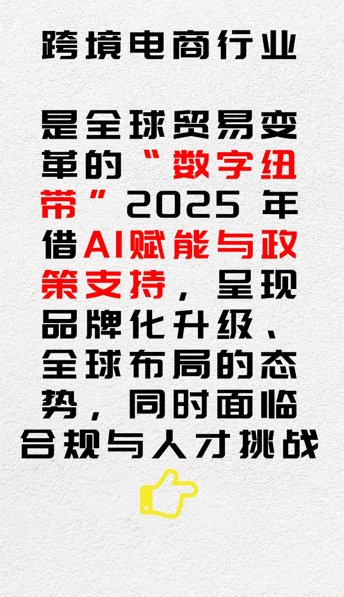 一天分析一个行业 跨境电商