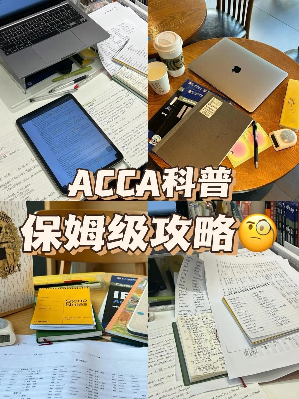 AA 分析行程序Analytical Procedures