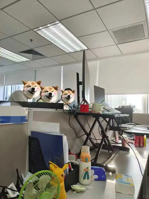 在小公司做数据分析还挺舒服的