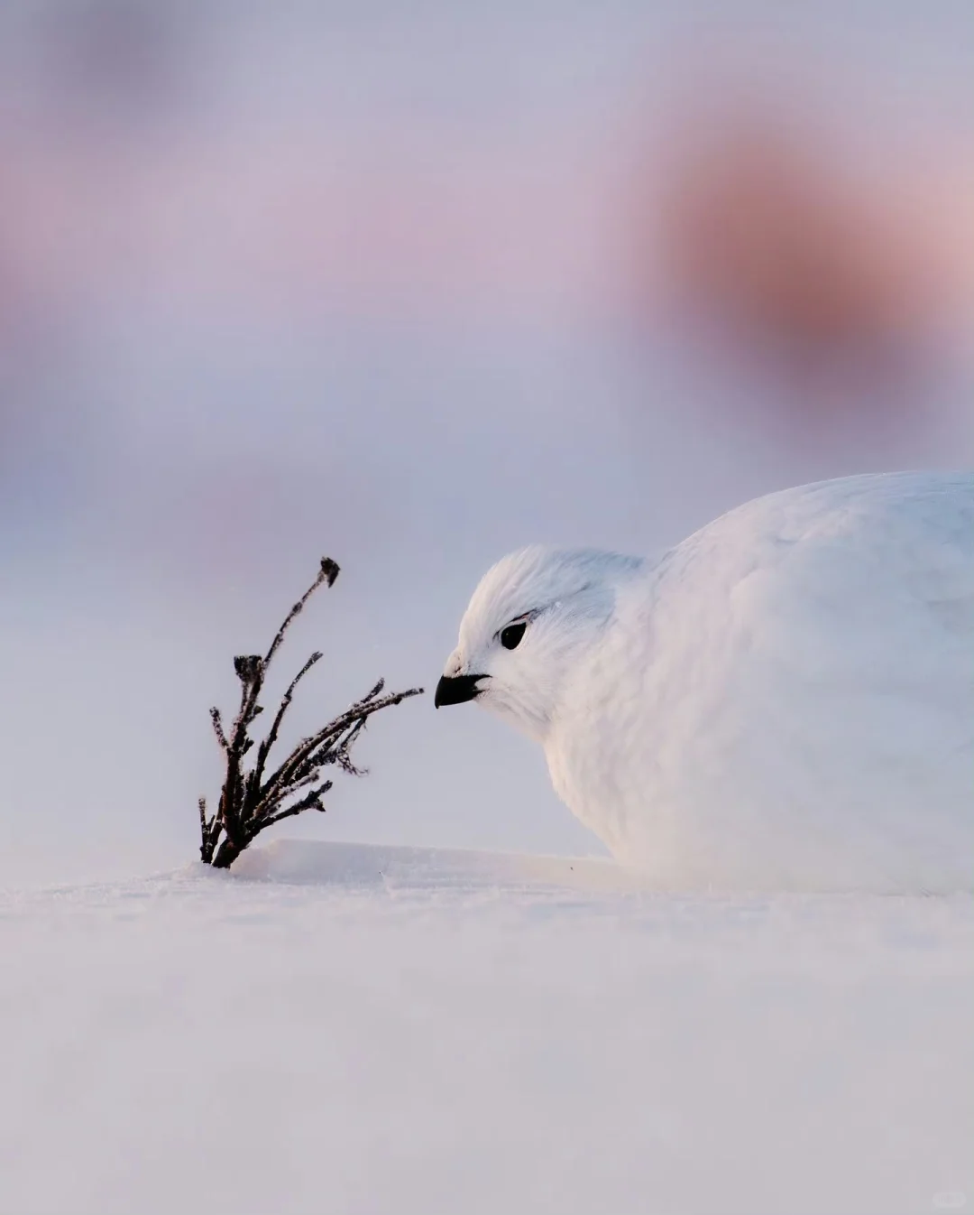 和贵人或领导相处，必懂的人情世故①