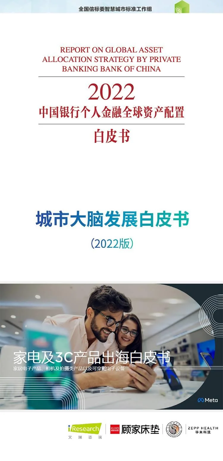 2025白皮书行业研究报告产业市场分析