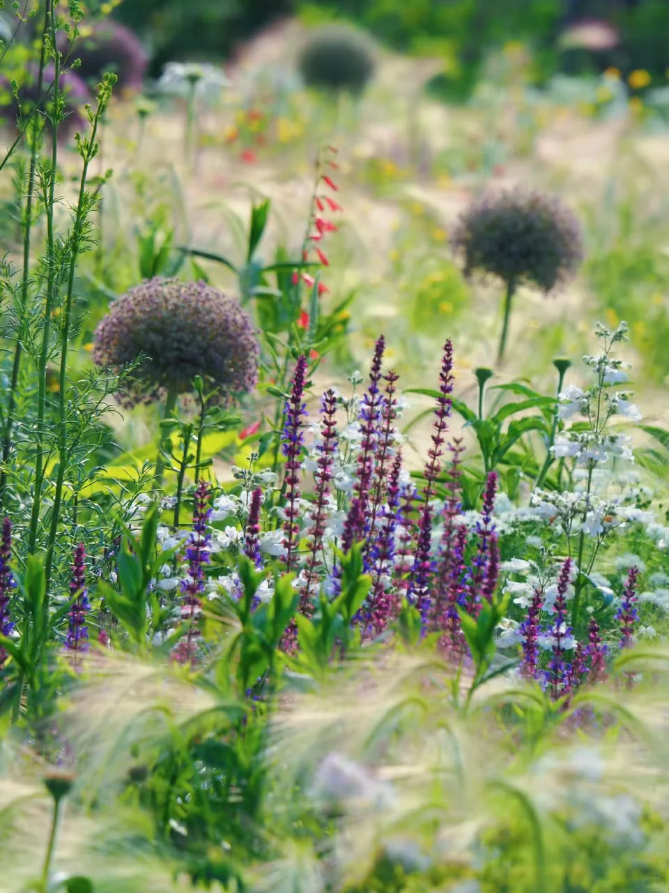 金钱心理学《财经日报2025.12.17》分享