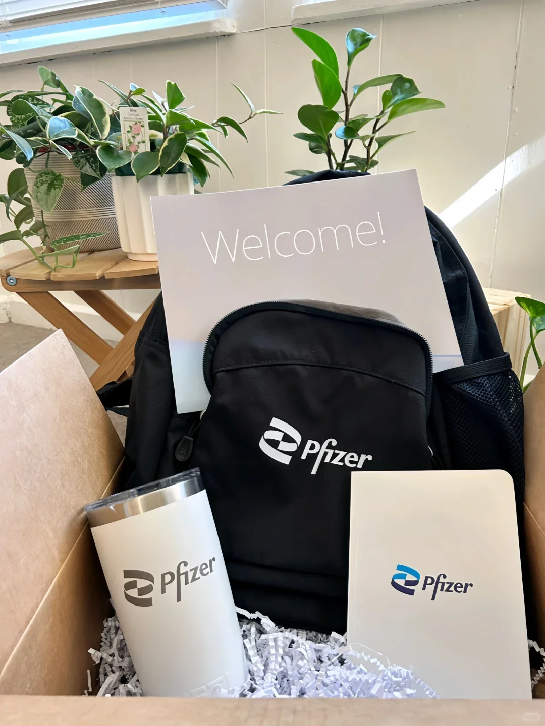 入职辉瑞4W➕，强烈建议女生考虑AI➕医疗