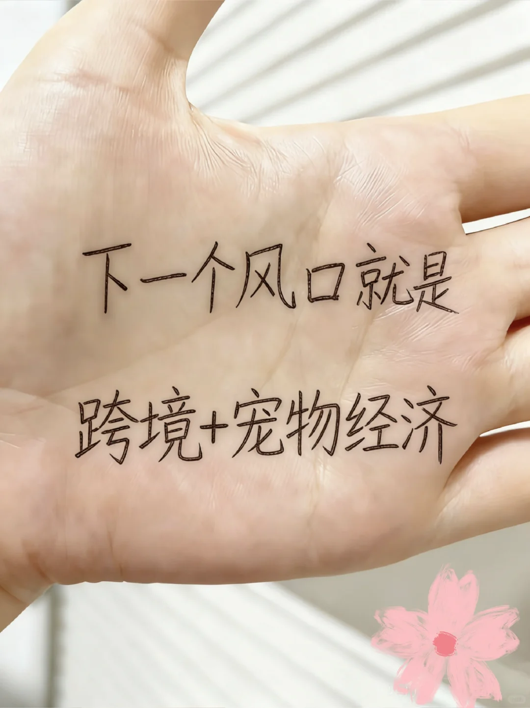 下一个风口就是:跨境电商+宠物用品