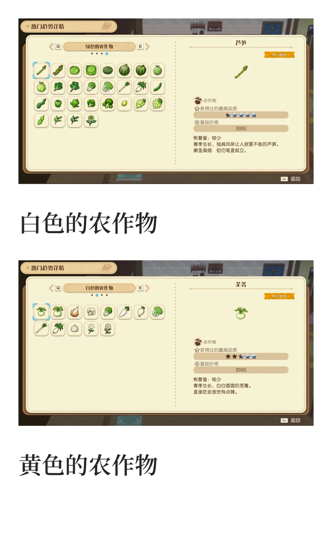 风之集市全部热门趋势物品图鉴汇总