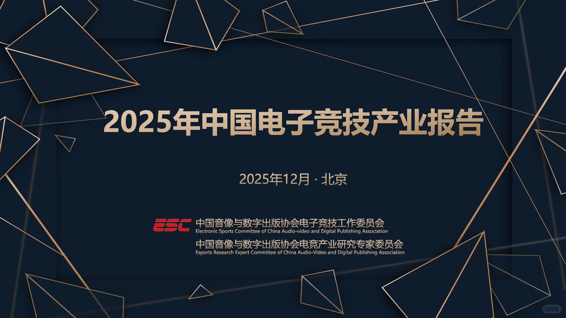 2025年中国电子竞技产业报告