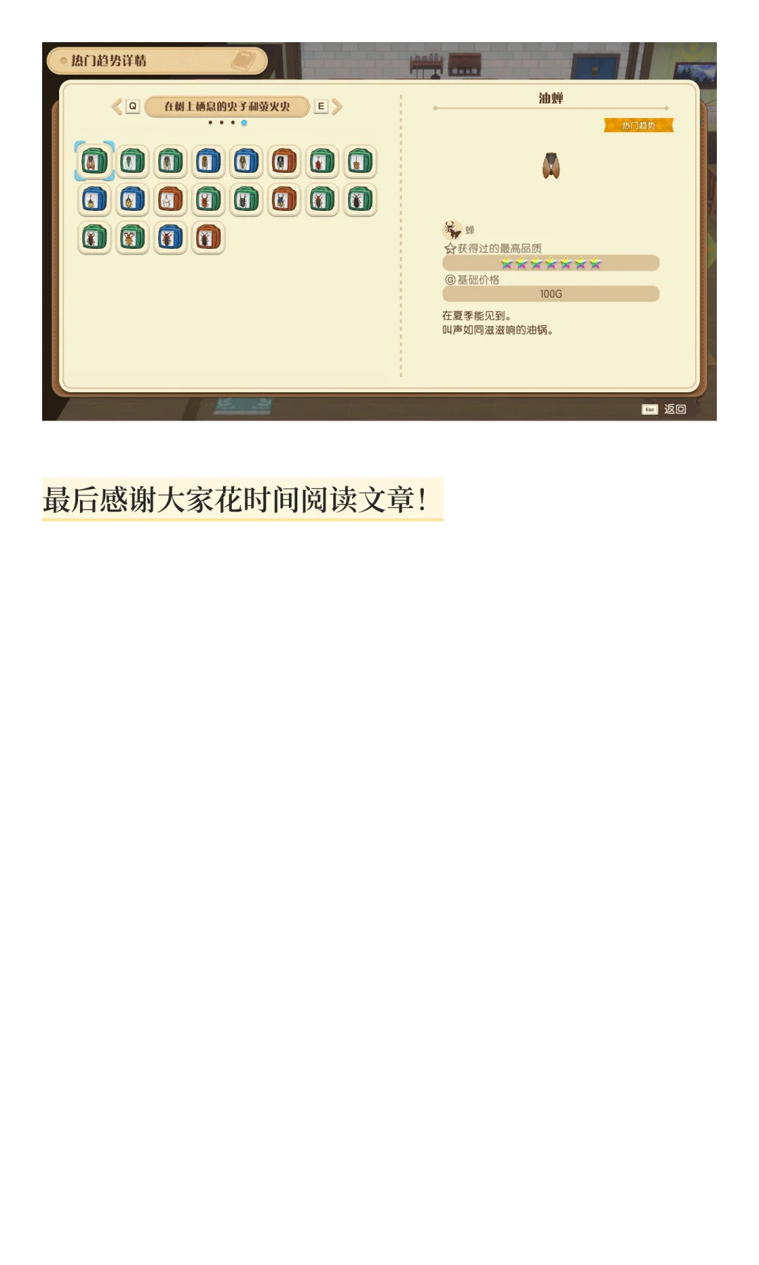 风之集市全部热门趋势物品图鉴汇总