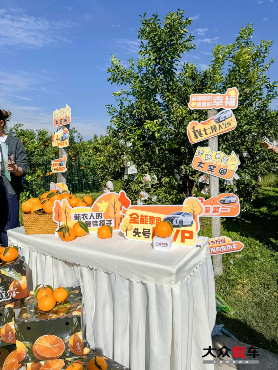 乡村企业定制 |来铁牛村办不一样的企业活动