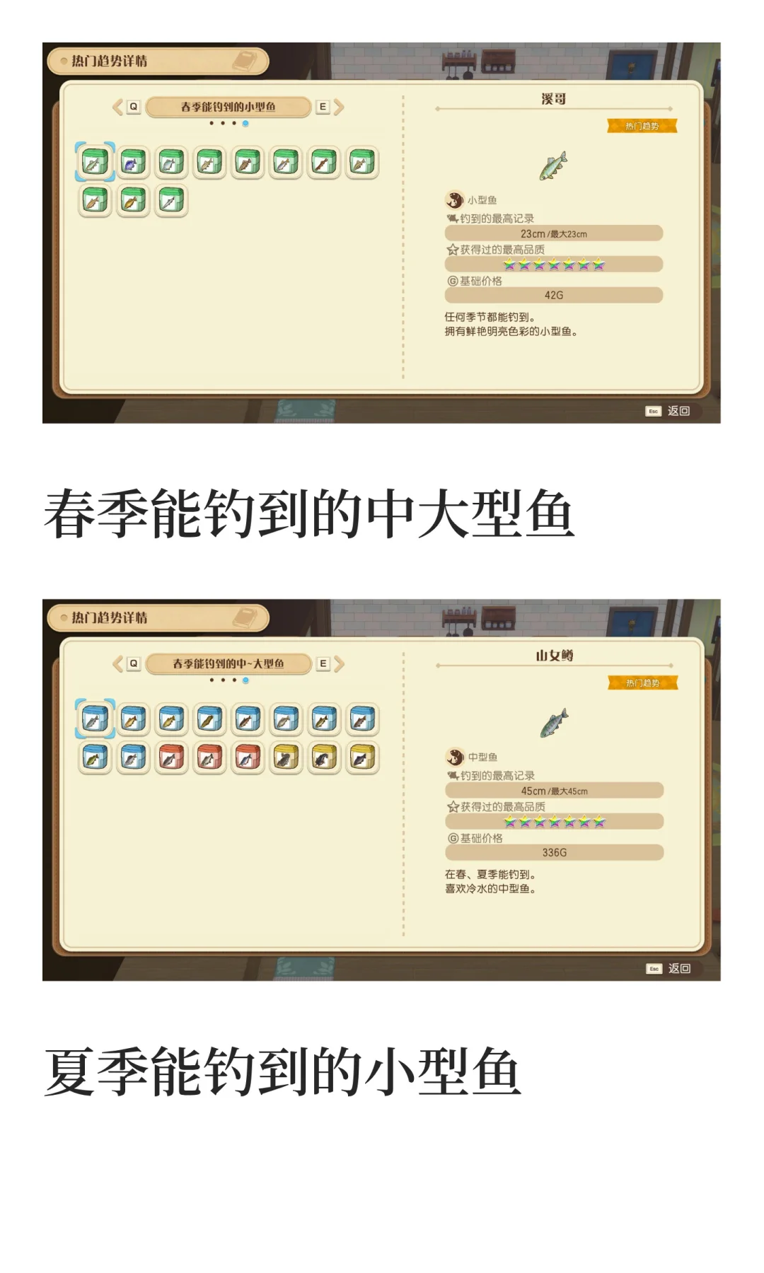 风之集市全部热门趋势物品图鉴汇总