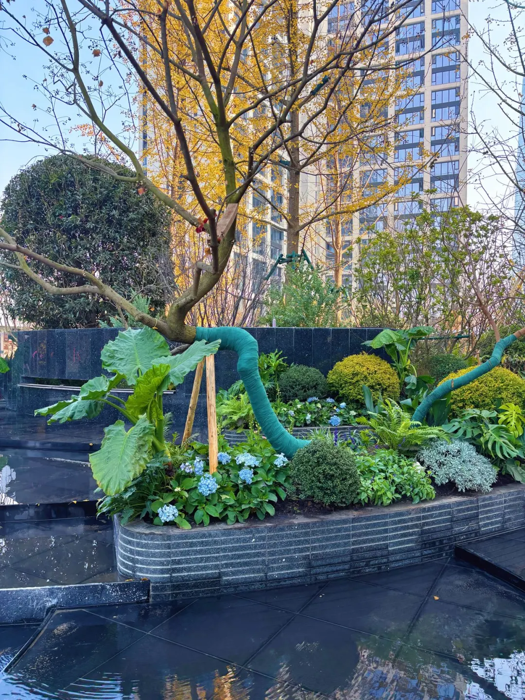 把家安在城市封面里！