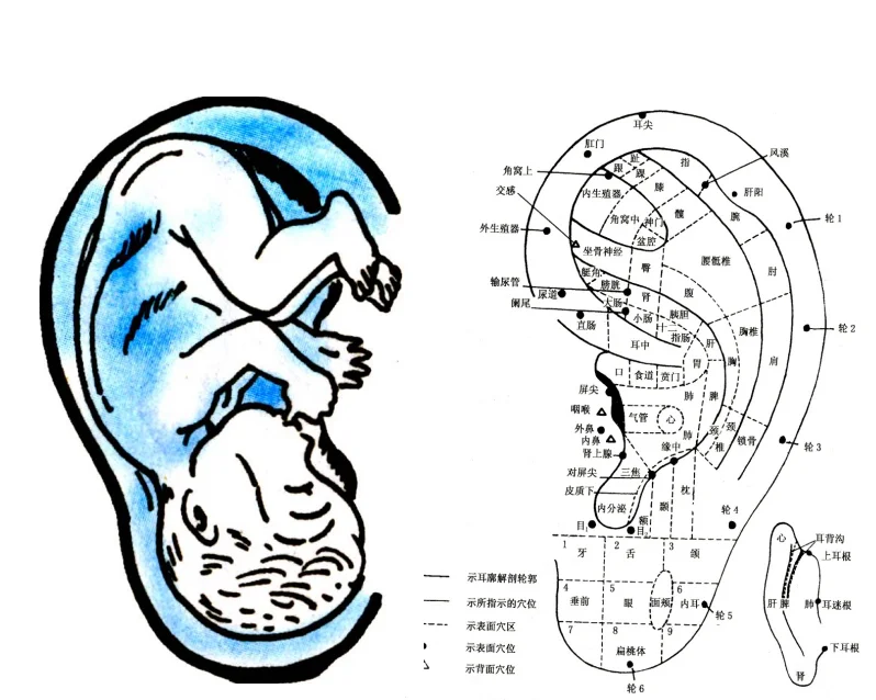 大健康产业，是趋势也是现实