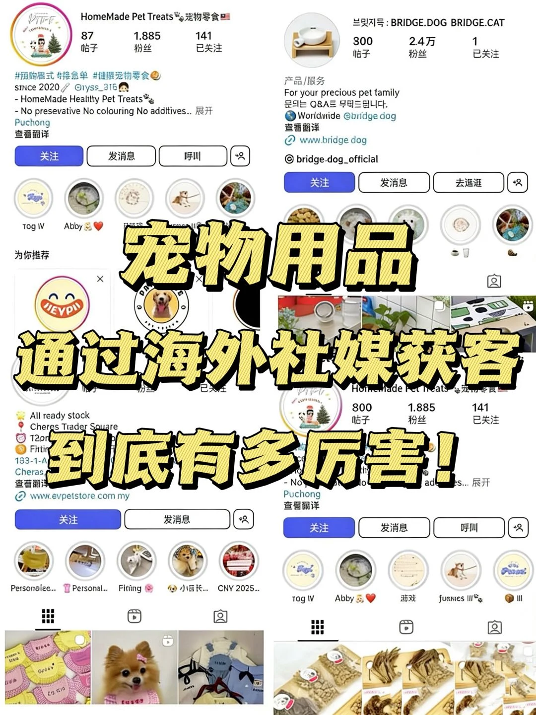 ? 宠物用品通过海外社媒获客，到底有多