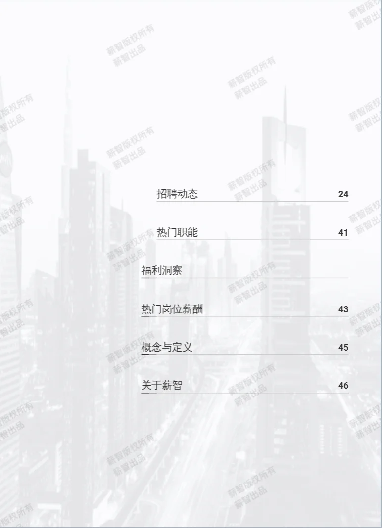 2025年电子商务行业白皮书