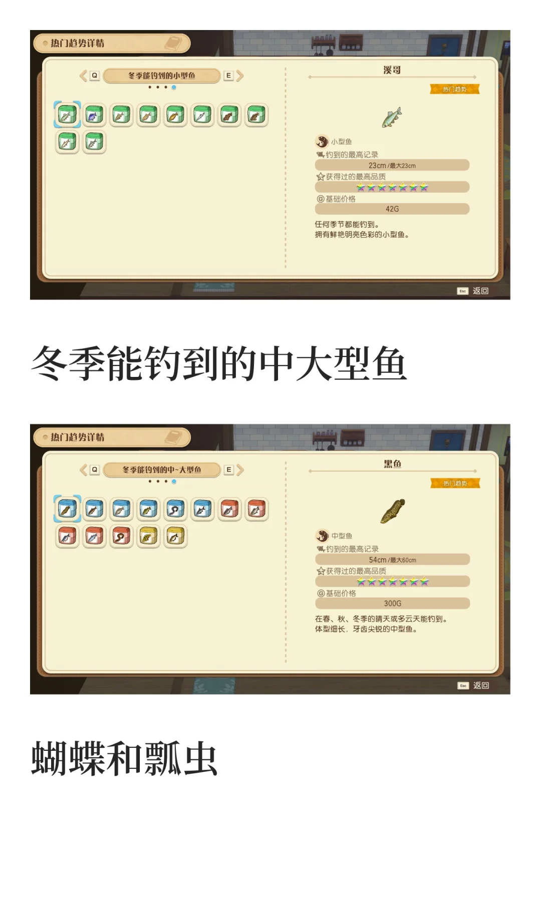 风之集市全部热门趋势物品图鉴汇总