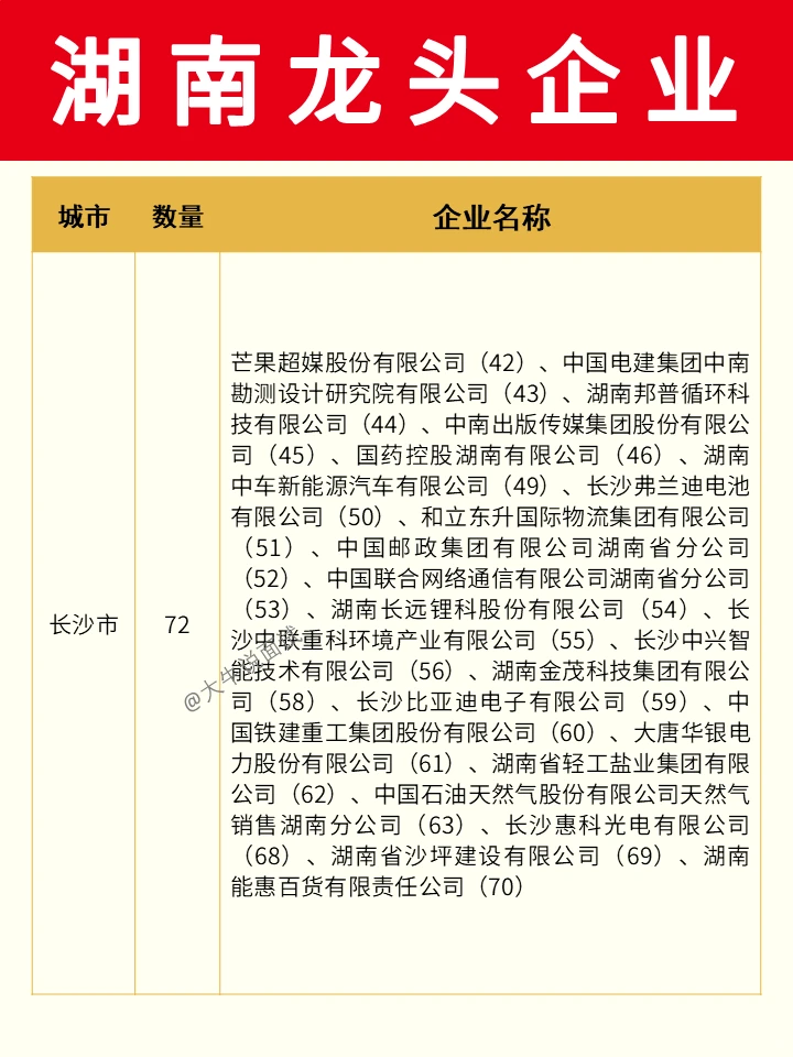 湖南龙头企业❗