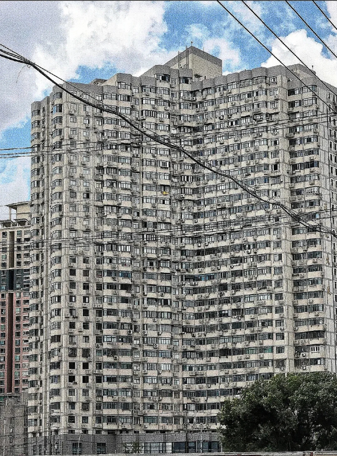 国际教育行业下行，是该继续坚持还是转行