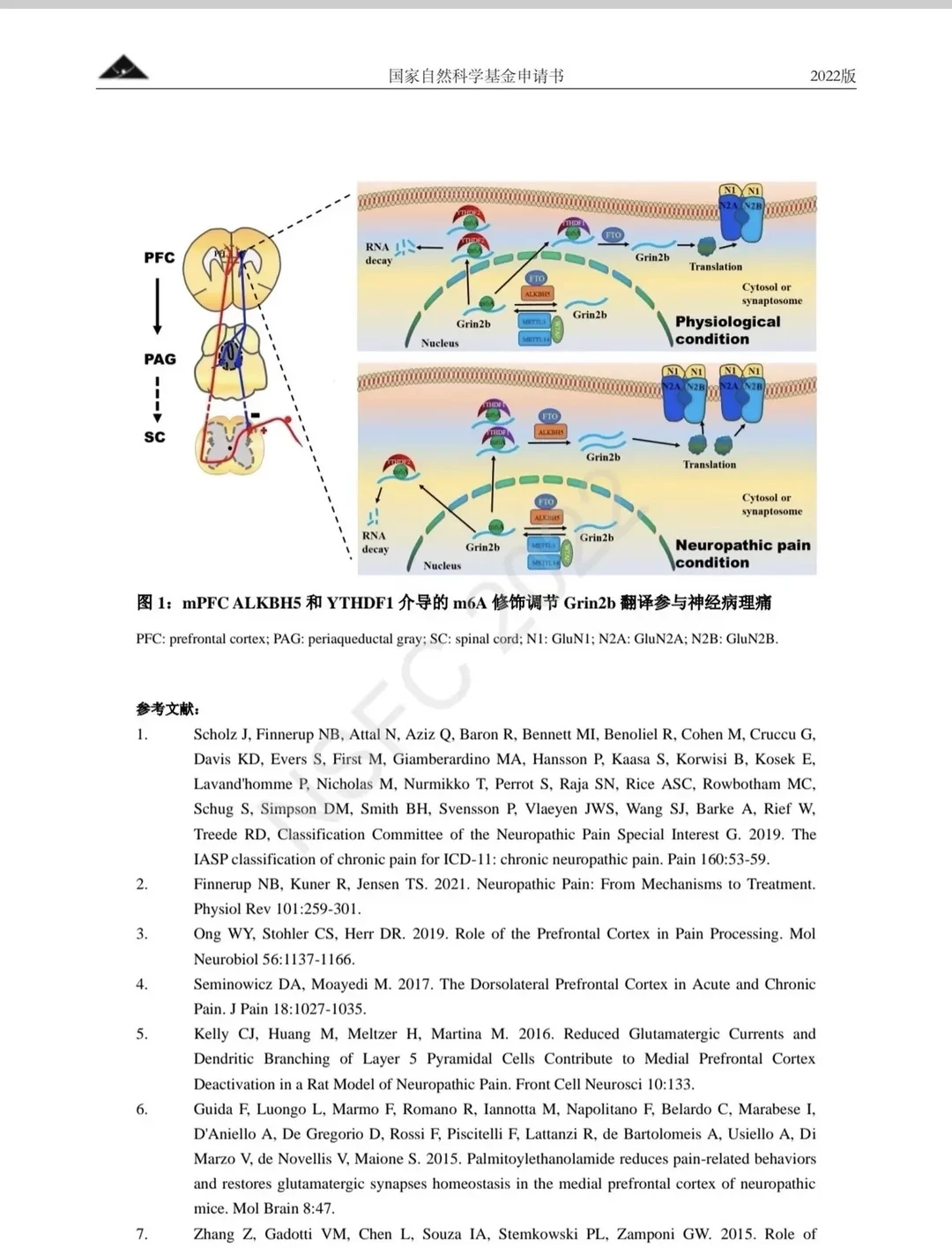这个国自然已中标写的太好了