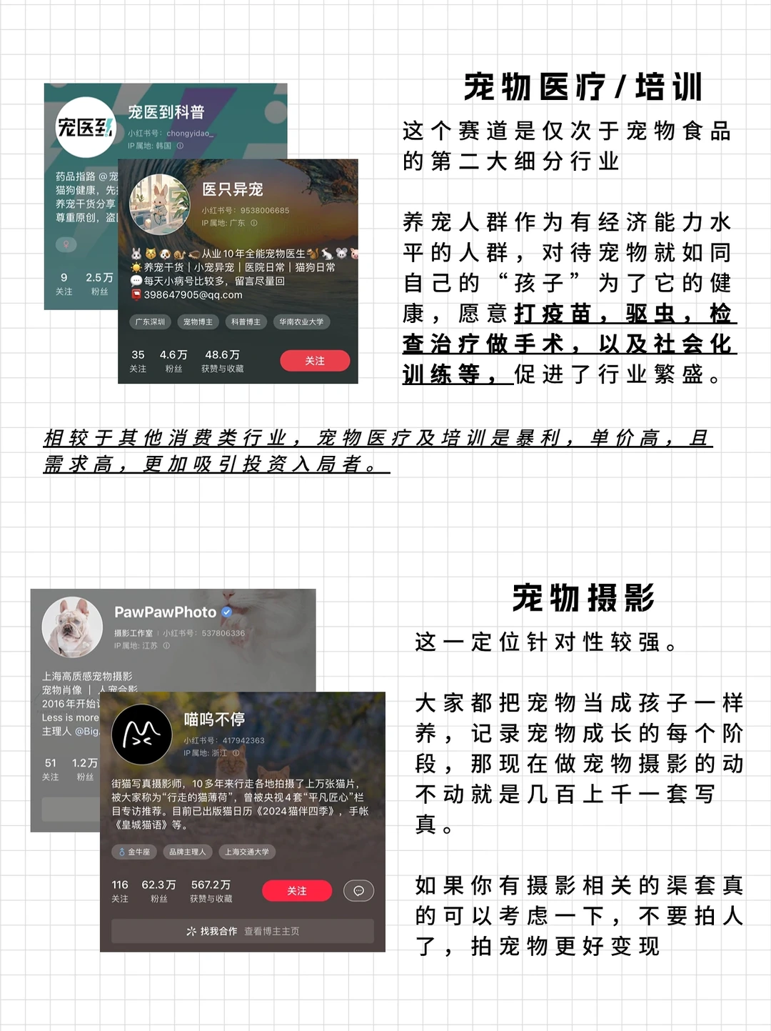 宠物经济之下的四个高潜力赛道?