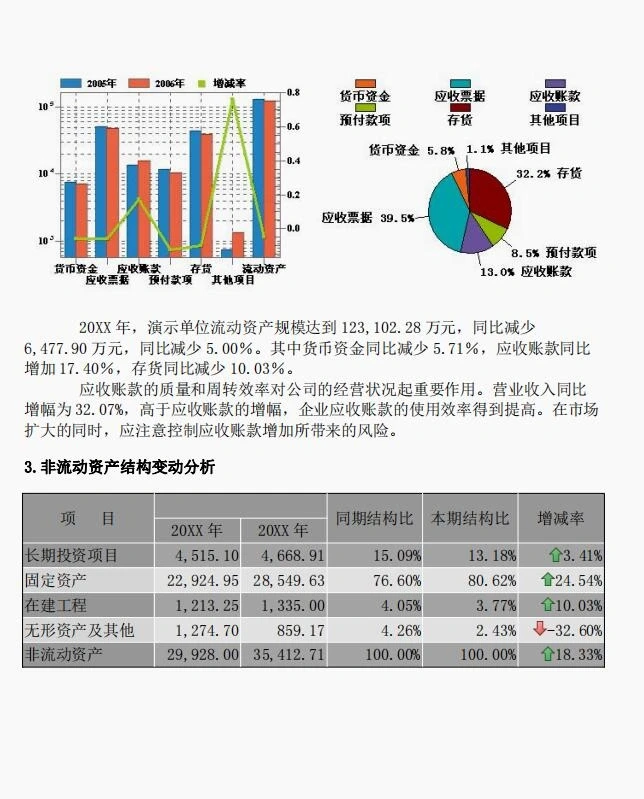 企业年度分析报告