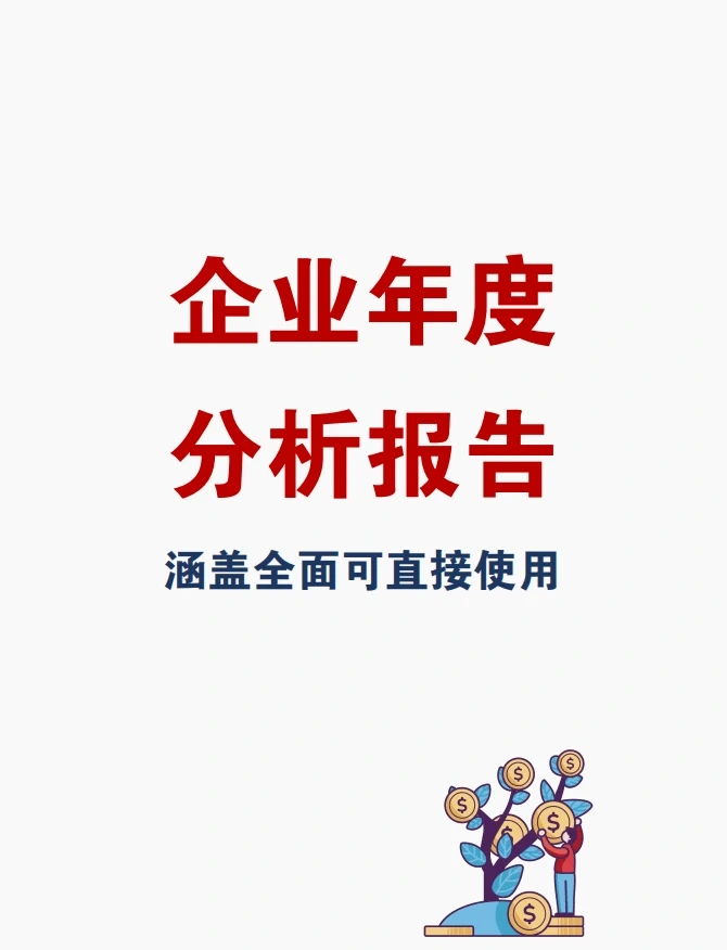 企业年度分析报告