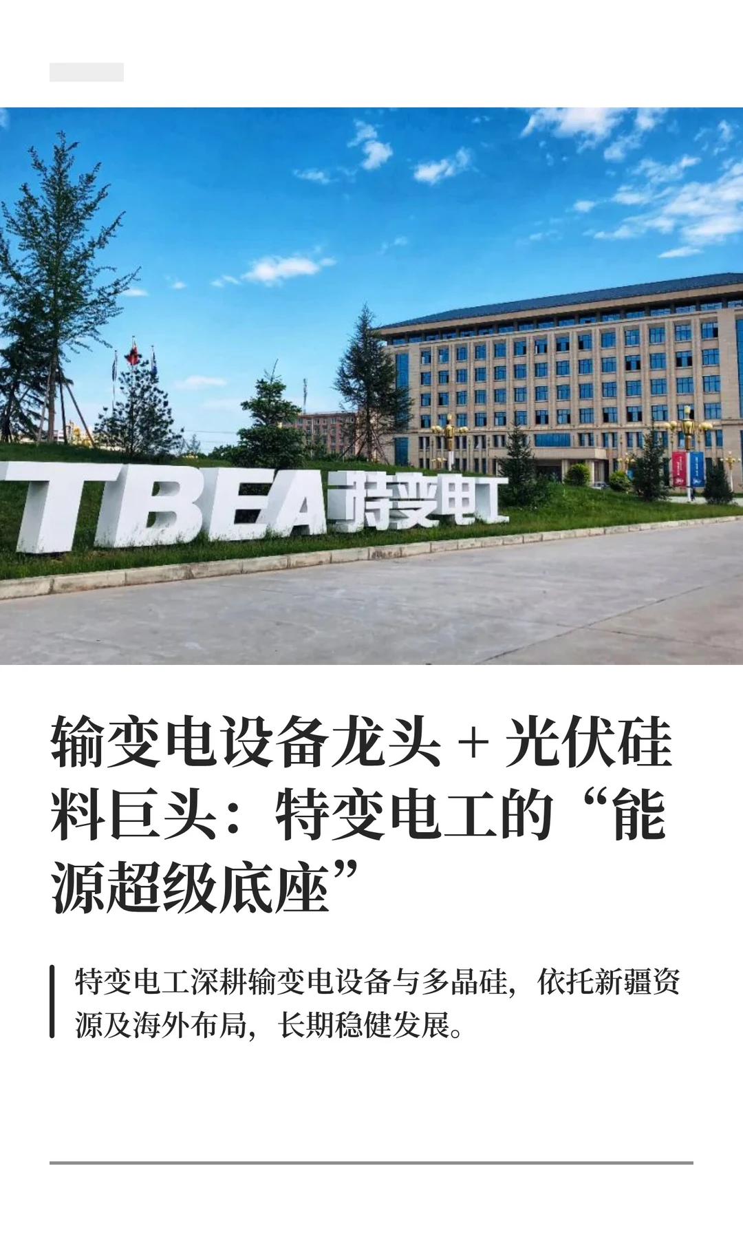 “新疆制造的全球能源链延伸” 特变电工